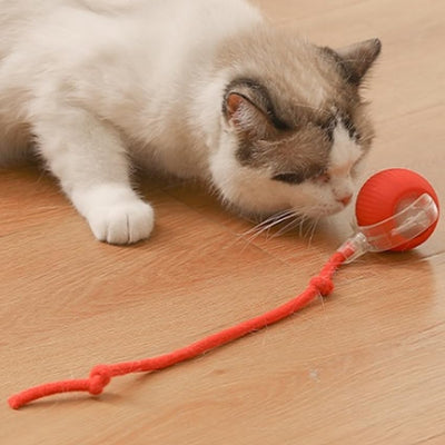 Automatic Smart Jumping & Rolling Cat Toy Ball, LED Light, Increase Cat Exercise & Cat Activity 