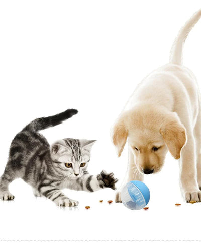 Engage-N-Treat Interactive Pet Food Ball