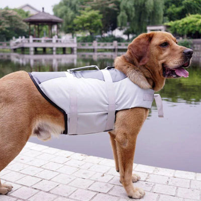 The Splashguard Pet Life Vest