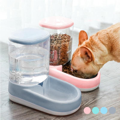 Pet Oasis Water Fountain