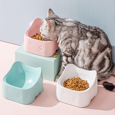 Pet Delight Ceramic Bowl