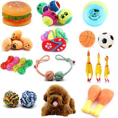 Interactive Pet Play Ball