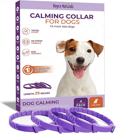 4 Pack Calming Collar for Dogs, Pheromone Breakaway Dog Collar, Anxiety Relief for Dogs, Purple