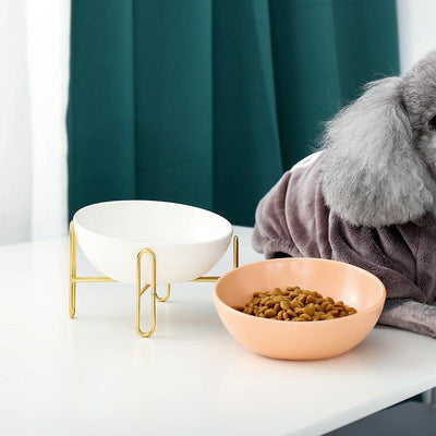 Ceramic Pet Bowl - Stylish and Functional Pet Dining Solution