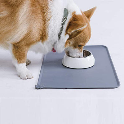 Stylish Stainless Steel Pet Feeder