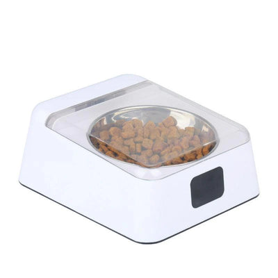 Smartpaws Automatic Moisture-Proof Pet Feeder